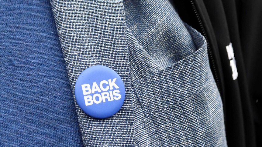 A 'Back Boris' badge is seen on a grey blazer close-up.