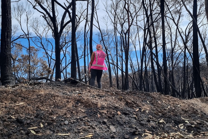 a woman stands amongst ash and blackened trees