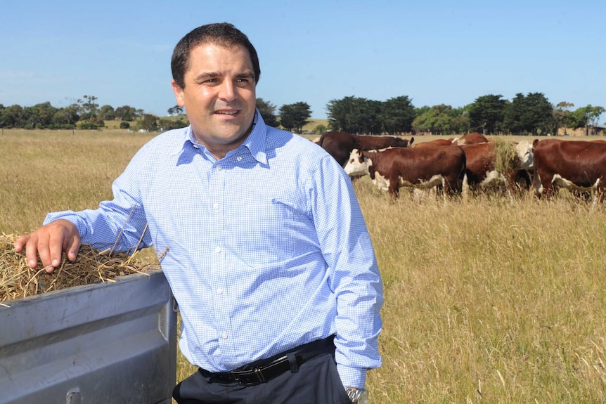 a man in a blue button up shirt leans on the tray of a ute while looking out at a farm with cows in the background