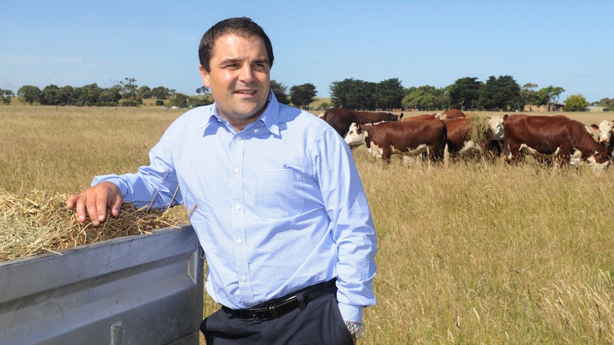 Local politician leaning on the tray of a ute while looking out at a farm with cows in the background