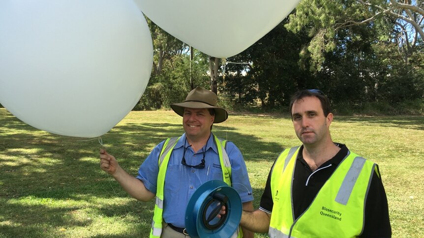 Controller Roger Winter and Surveillance Officer Rob Stevens from Biosecurity Queensland launch a balloon to catch bees
