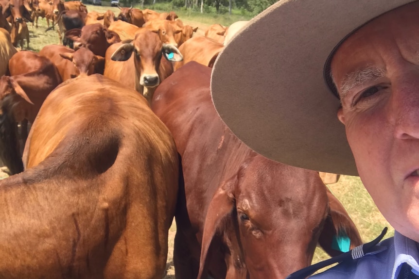 Doug Vidler standing in front of some cattle