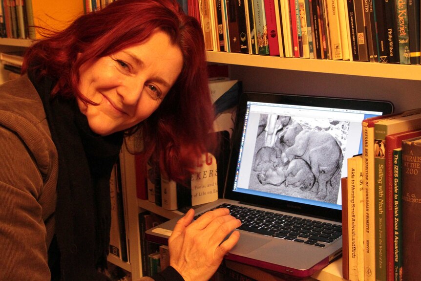 Colette and her partner Leo watched the birth of an elephant from their home, via webcam.