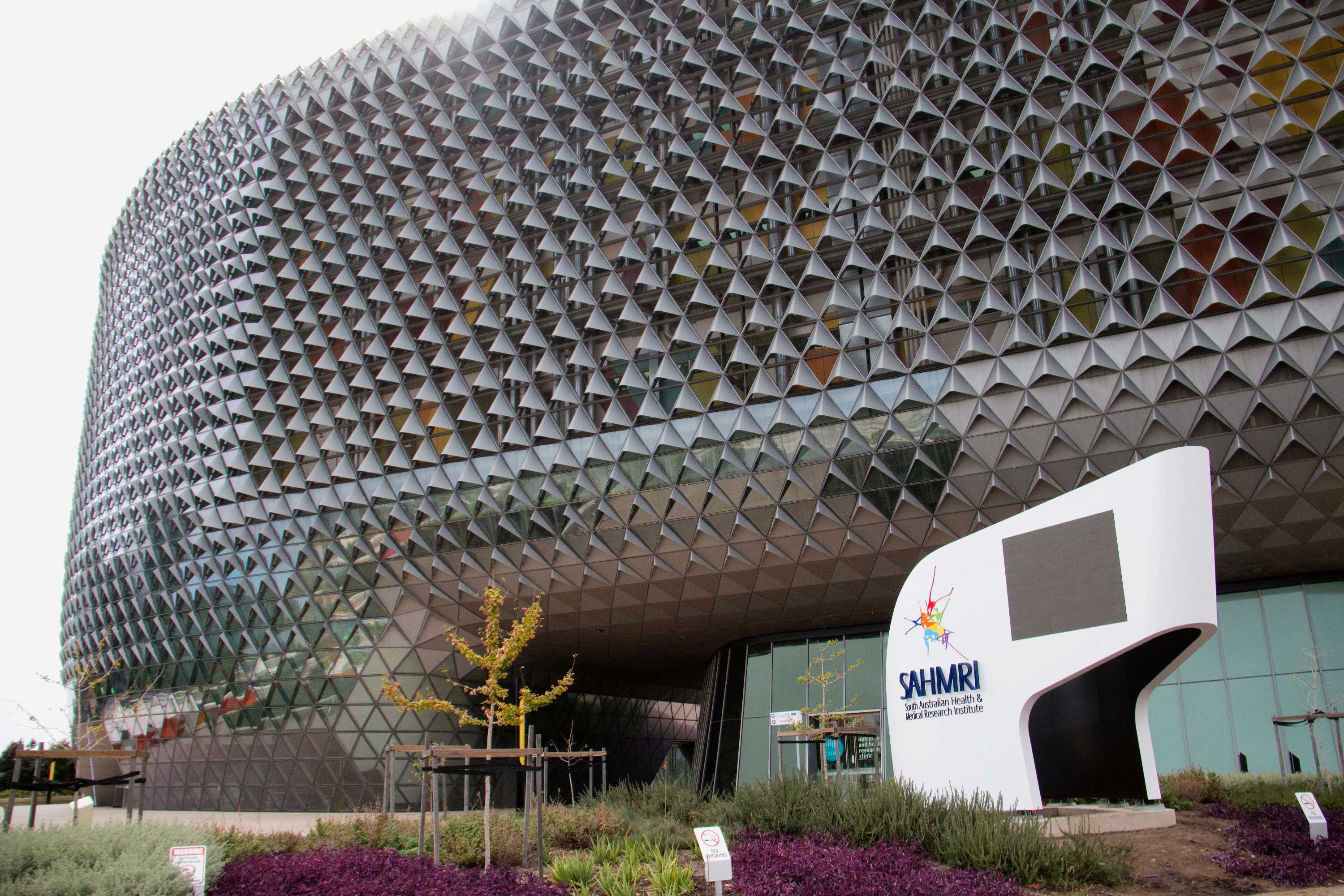 Omega-3 fatty acids could reduce risk of premature births, research shows