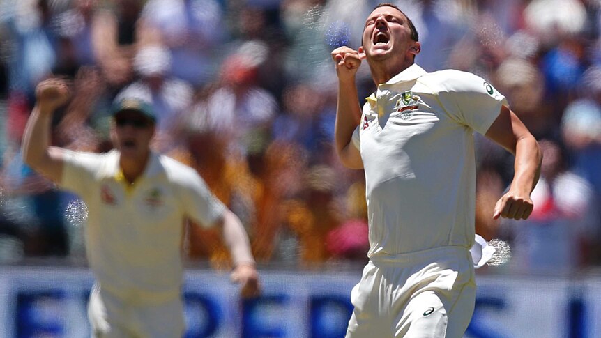 Josh Hazlewood pumps his fist after dismissing Chris Woakes on day five of the second Ashes Test in Adelaide.