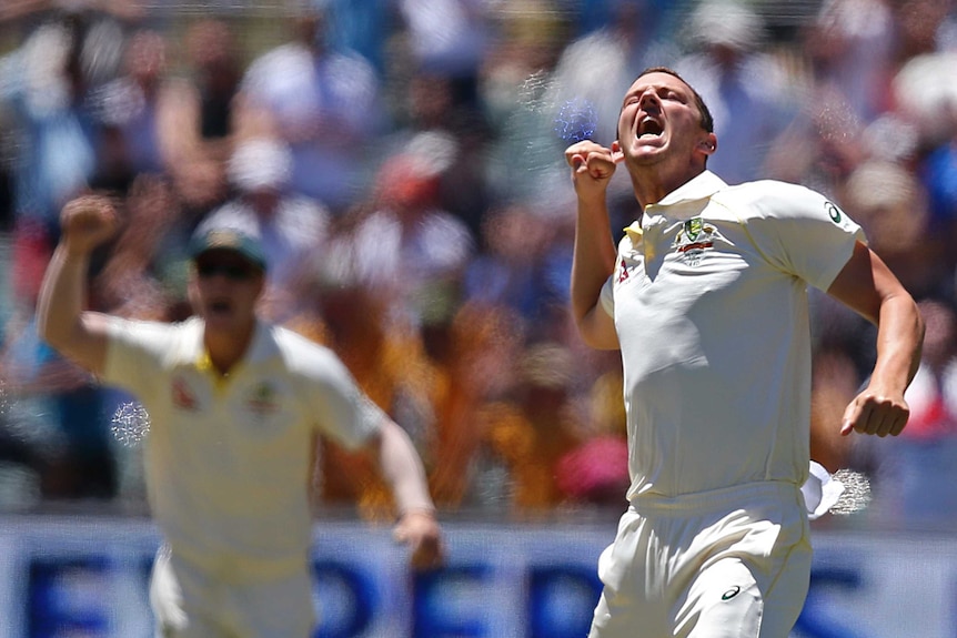 Josh Hazlewood pumps his fist after dismissing Chris Woakes on day five of the second Ashes Test in Adelaide.