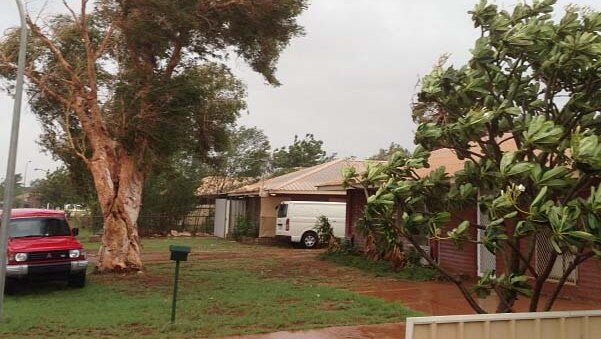 Trees are buffeted by cyclonic winds in Port Hedland