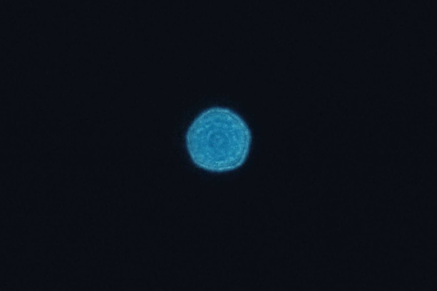An image of a hazed, blue orb with rings inside it against the darkness of the night.