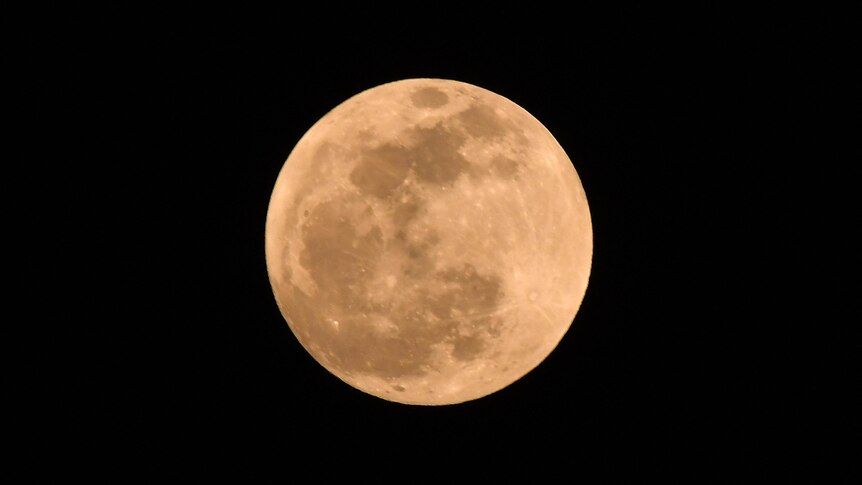 A perfectly round pink moon is seen against a dark night sky. 