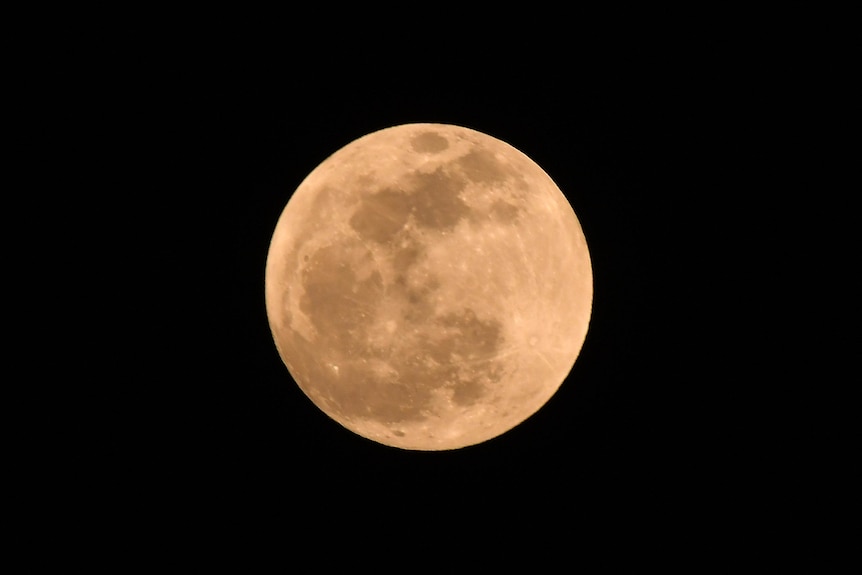 A perfectly round pink moon is seen against a dark night sky. 