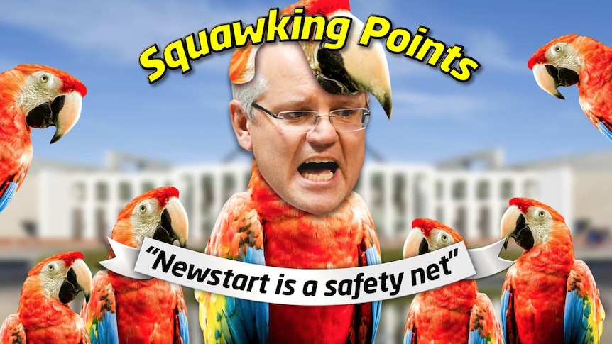 Squawking Points