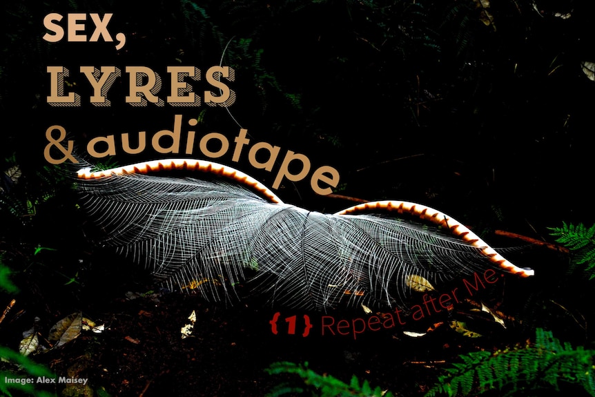 Off Track presents Sex, Lyres and Audiotape episode one
