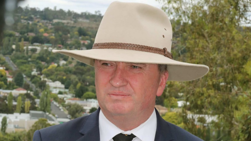 Barnaby Joyce wears an Akubra and speaks into a number of microphones in front of him.