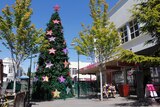 The 2016 Christmas tree in the Launceston mall