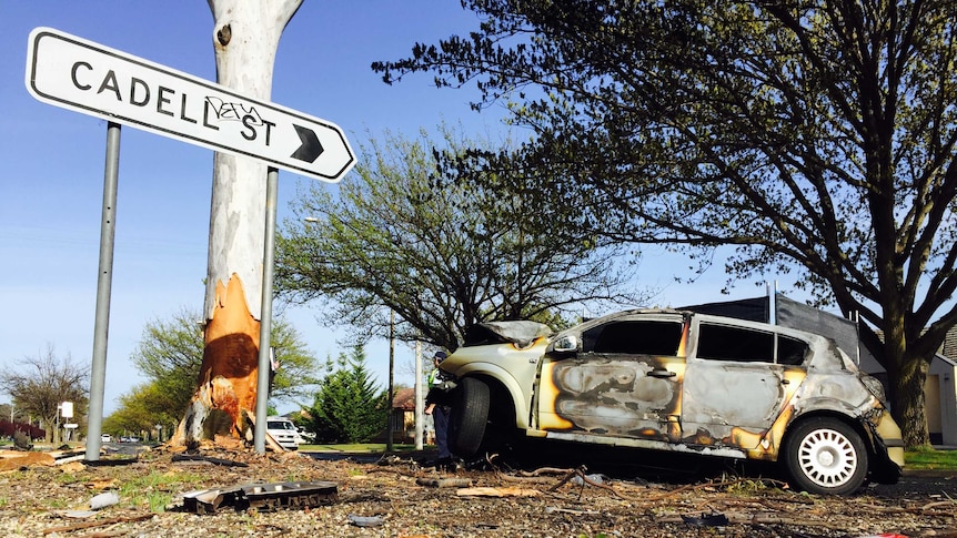 A burned car next to a tree stripped of its bark.