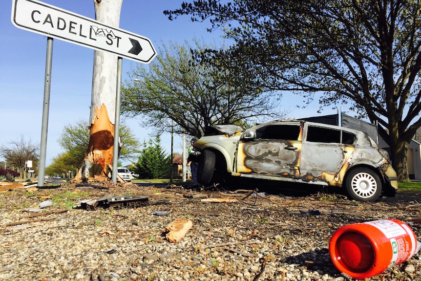 A burned car next to a tree stripped of its bark.