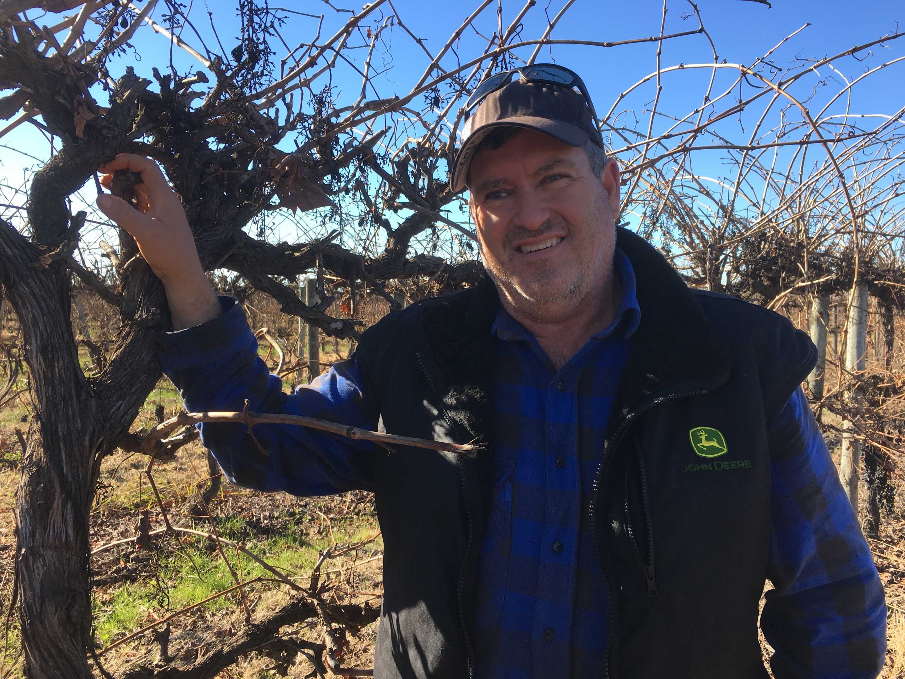 Calls for Riverina Wine Grapes Marketing Board to regain power to