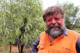 A close, profile shot of Alice Springs quandong grower Gunnar Nielson. He is bearded, scruffy, and sweaty. Tree in background.