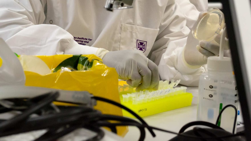 A laboratory researcher holds a tray of vaccine vials.