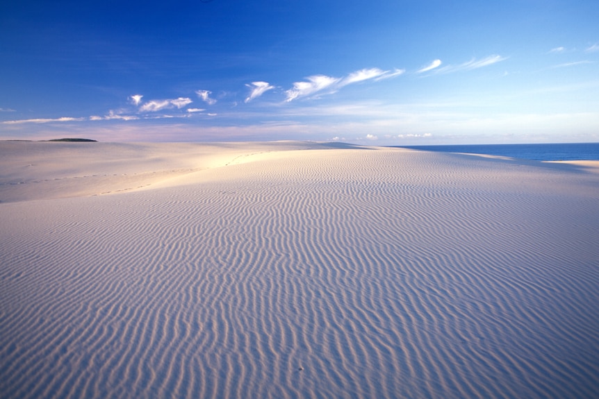 A wide expanse of sand, complete with ripples, on K'gari