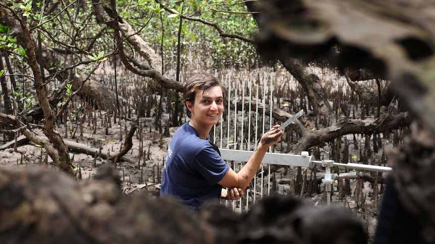 A woman sits in a field of mangroves and turns her head for the camera.