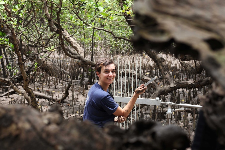 A woman sits in a field of mangroves and turns her head for the camera.