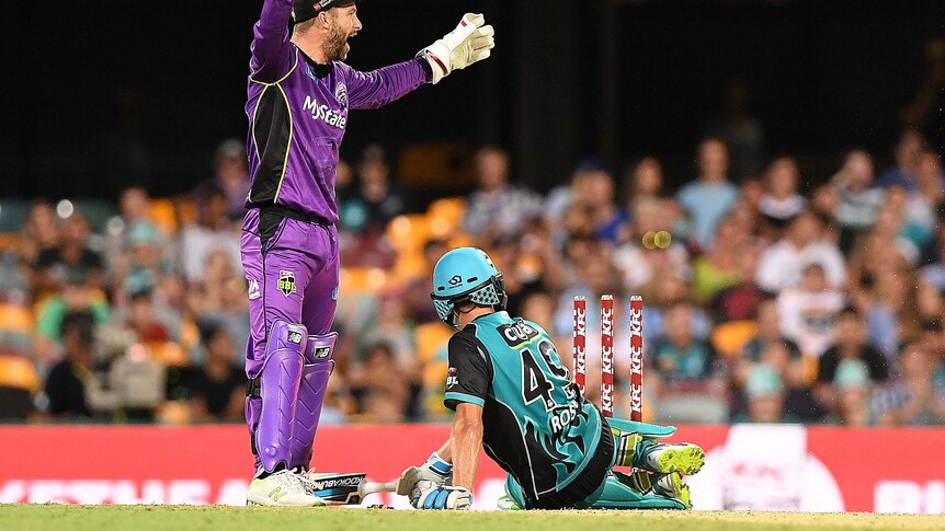 Hurricanes wicket keeper Matthew Wade appeals as Alex Ross slides into his crease.