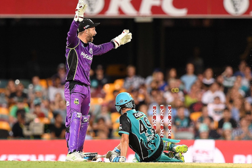 Hurricanes wicket keeper Matthew Wade appeals as Alex Ross slides into his crease.