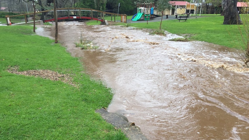 Brownhill Creek flooding