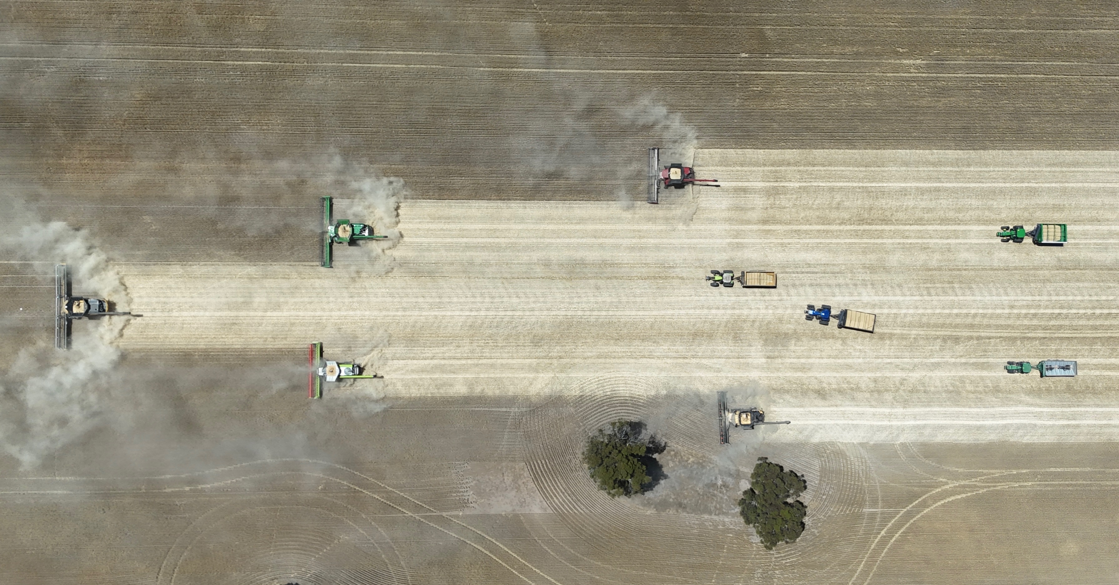 Tractors drive up a paddock harvesting a crop. 