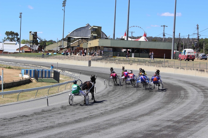 Wagga Harness Race Club hosts regulars meets.