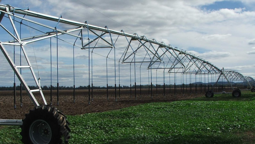 A lateral irrigator stretches across a crop.