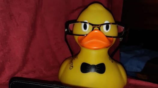 A yellow rubber duck wearing glasses