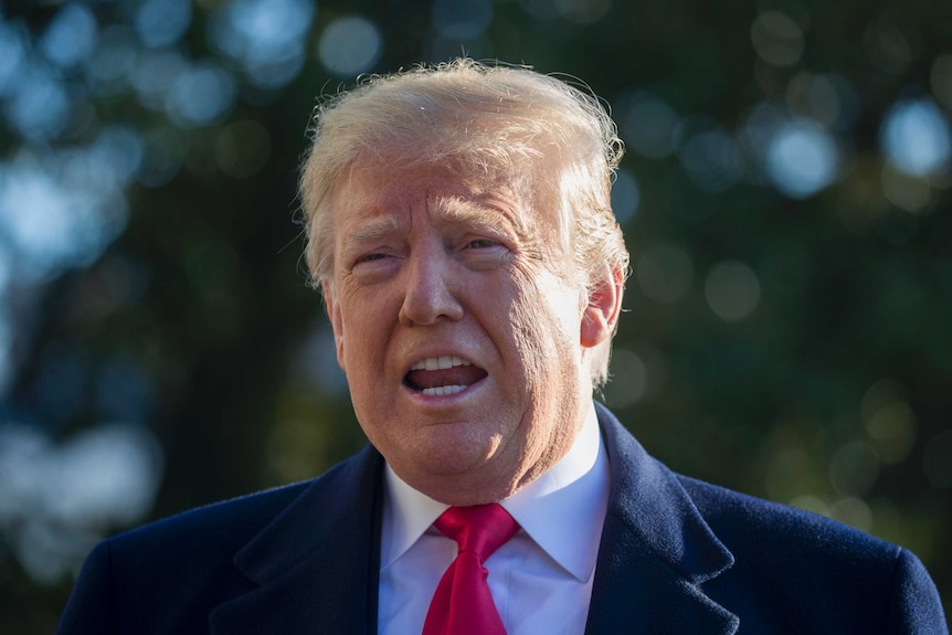 A close-up of Donald Trump speaking to press on the lawn of the White House