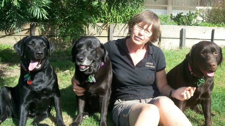 a woman sits on the ground with three dogs, her arm is around one of the dogs