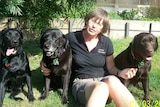 a woman sits on the ground with three dogs, her arm is around one of the dogs