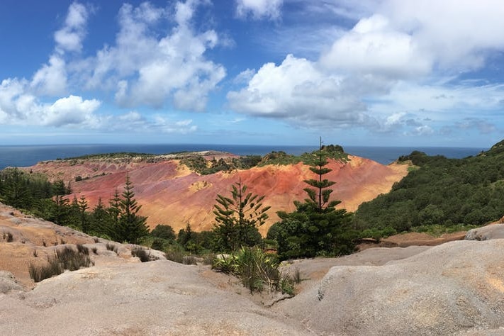 a view of red rocky landscape with scrubby trees looking towards the water.