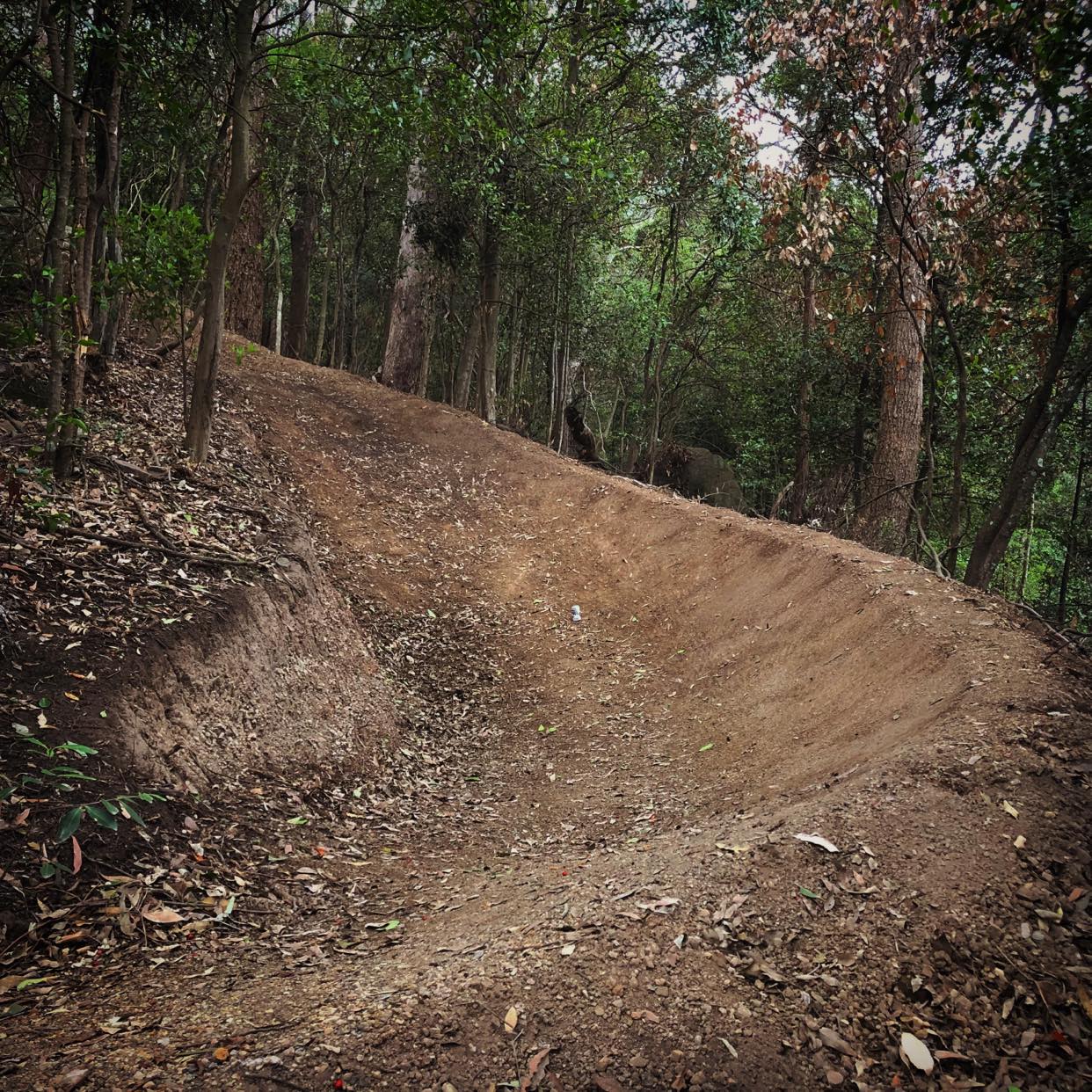 Mount Keira bike track in Wollongong