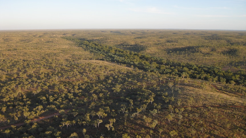 a large expanse of bushland