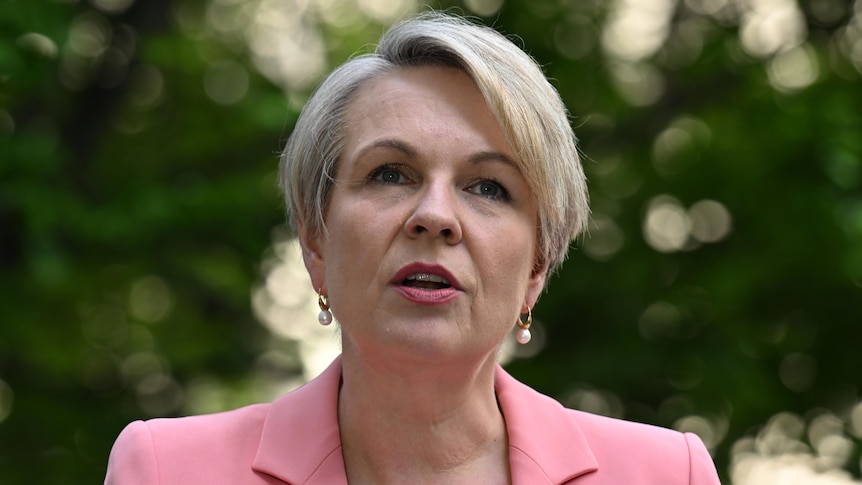 Environment Minister Tanya Plibersek 