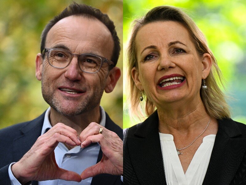 Sussan Ley Adam Bandt split composite