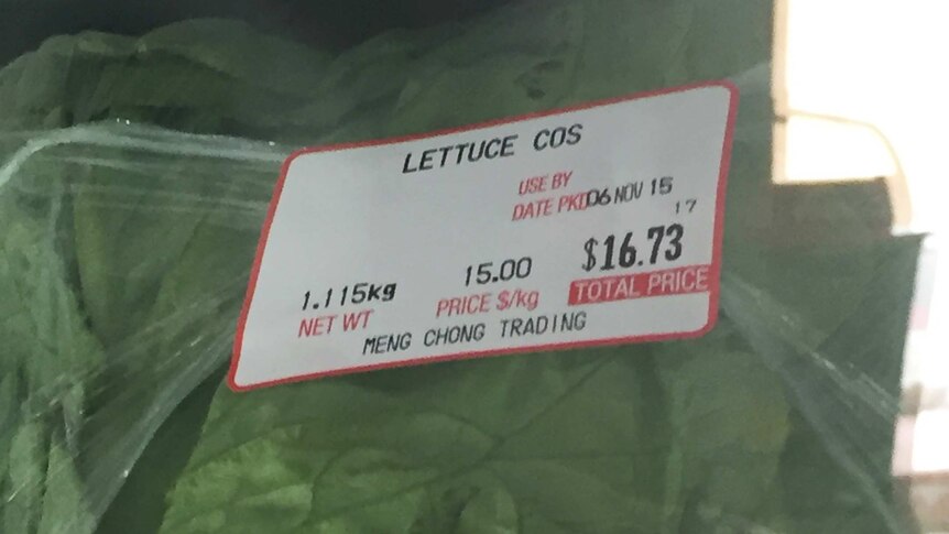 A cos lettuce with a for sale sticker displaying a price of $16.73.