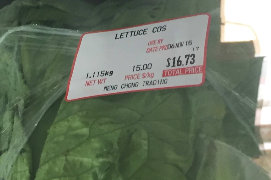 A cos lettuce with a for sale sticker displaying a price of $16.73.