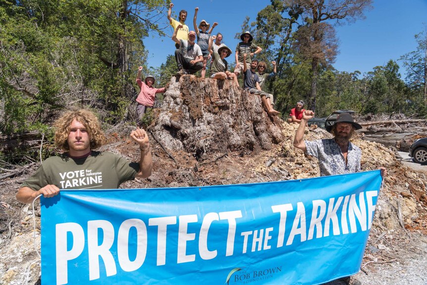 Protesters at a Tasmanian logging site.