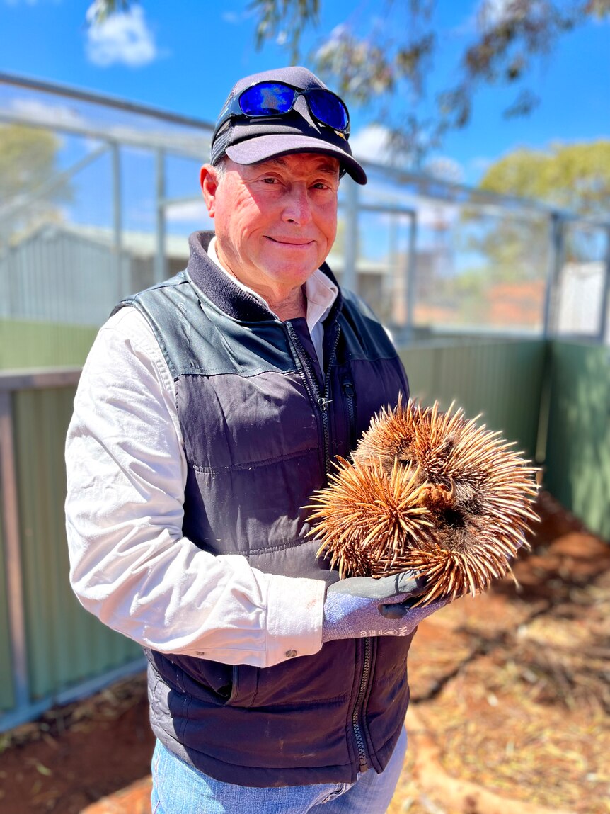  A man smiling and holding an adolescent echidna with gloves on. 