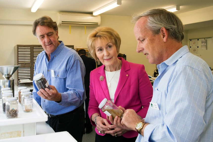 Darryl McClements and Clinton Revell show Kerry Sanderson the seeds to be send to the global seed vault.