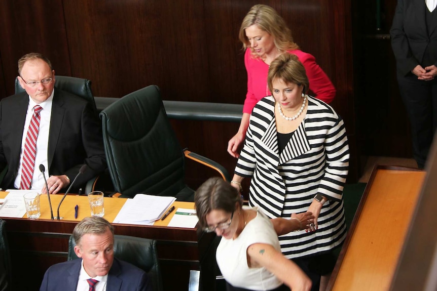 Sue Hickey is led into the chamber by Greens leader Cassy O'Connor and Labor's Rebecca White, as Premier Will Hodgman looks on.