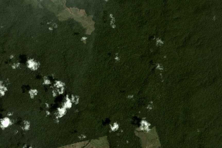 Satellite image of Jamanxim National Forest pictured on 7 September 2018