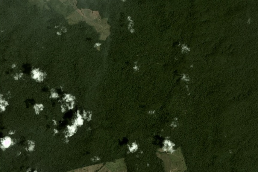 Satellite image of Jamanxim National Forest pictured on 7 September 2018