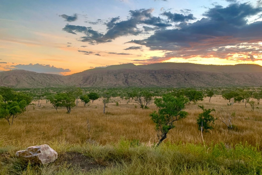 Hills, grass and bush in the remote northern Kimberley.